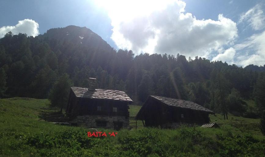 Villa Baite Cialvrina à Gressoney-Saint-Jean Extérieur photo