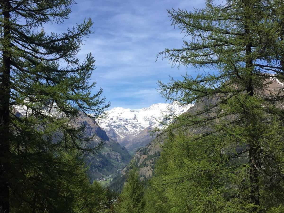 Villa Baite Cialvrina à Gressoney-Saint-Jean Extérieur photo