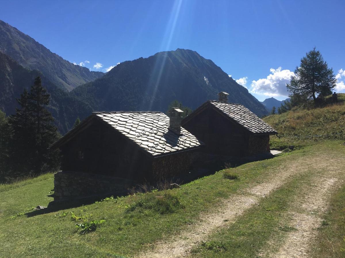Villa Baite Cialvrina à Gressoney-Saint-Jean Extérieur photo