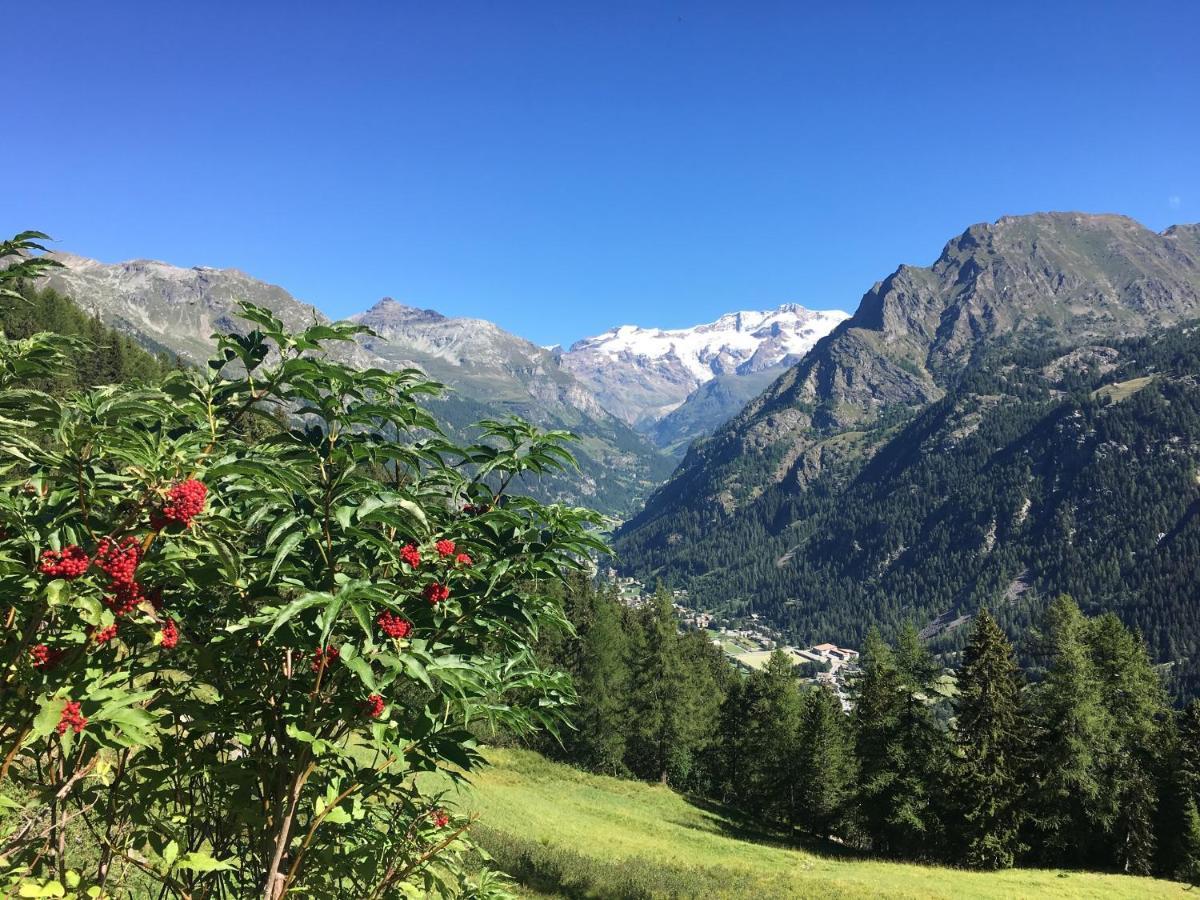 Villa Baite Cialvrina à Gressoney-Saint-Jean Extérieur photo